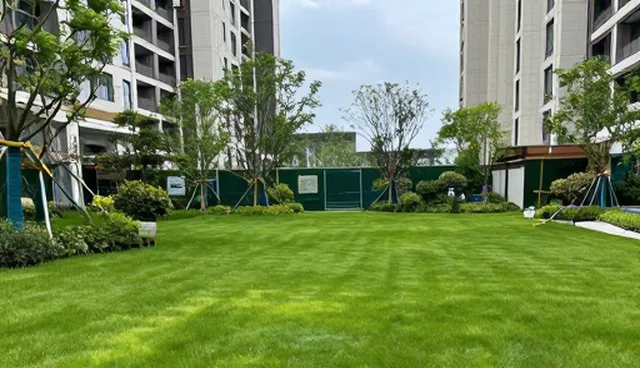 安保服务性能与适用条件的多维度分析